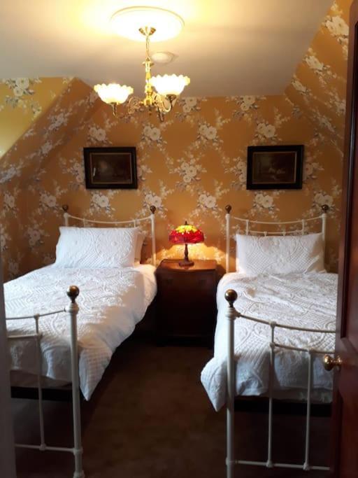 Beautiful Traditional Secluded Country Cottage Sanquhar 외부 사진