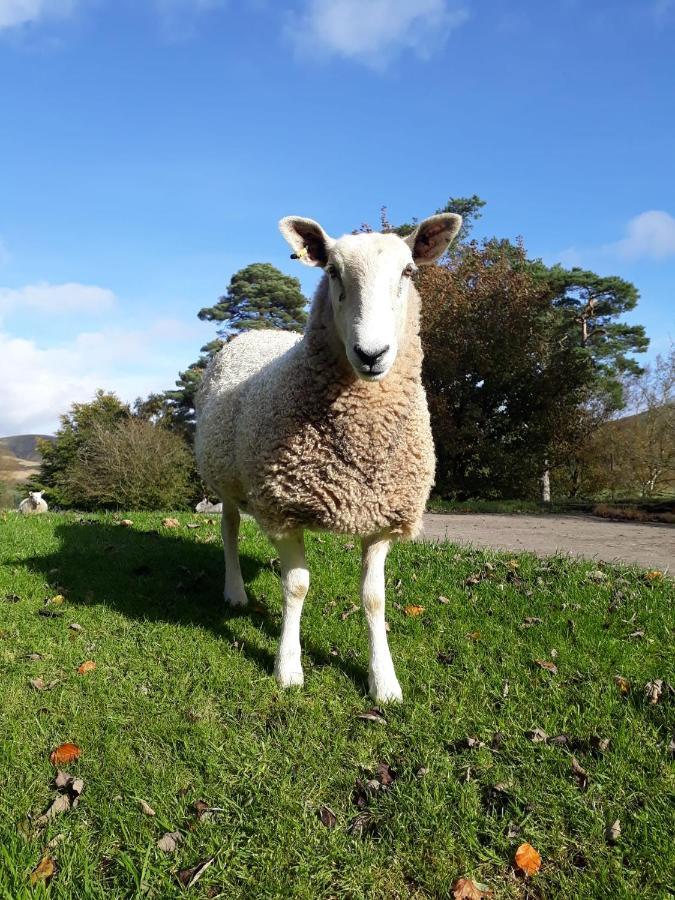 Beautiful Traditional Secluded Country Cottage Sanquhar 외부 사진